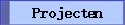 Projecten